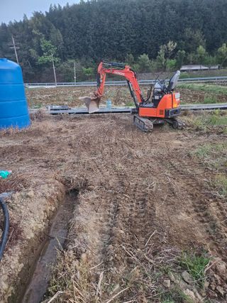 양배추21524님의 기타작물 · 영농일지 작성글 사진