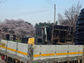 김병효님의 기타작물 · 영농일지 작성글 사진
