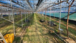 최율구님의 포도 · 영농일지 작성글 사진