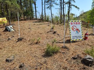 헤이쥬회원님의 기타작물 · 영농일지 작성글 사진