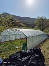 박성균님의 작성글 사진