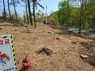 헤이쥬회원님의 기타작물 · 영농일지 작성글 사진