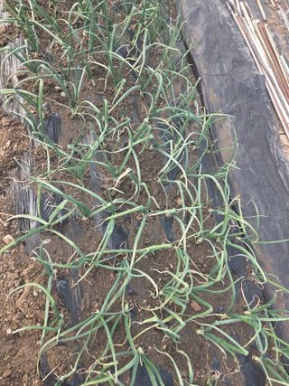 정영순님의 작성글 사진