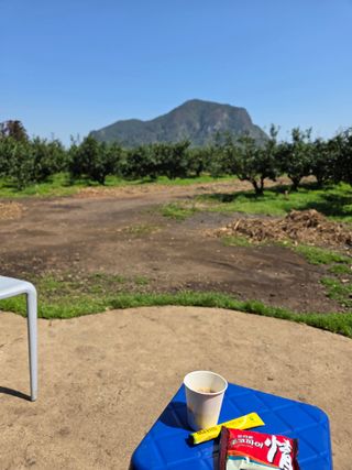 산방자연농원님의 귤 · 영농일지 작성글 사진