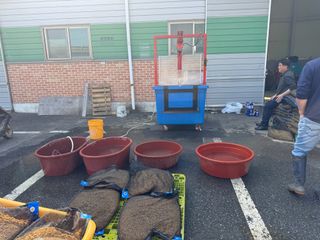 오작교농장님의 벼 · 영농일지 작성글 사진