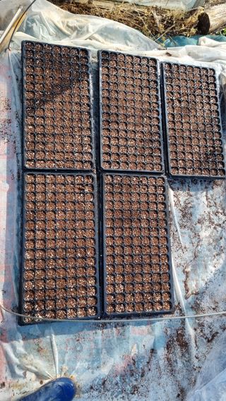 김지철님의 기타작물 · 영농일지 작성글 사진