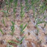 김춘성님의 작성글 사진