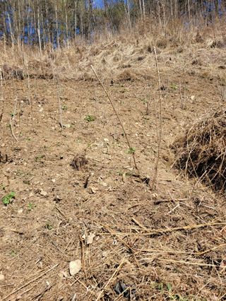 돈디아고(김덕수)님의 기타작물 · 영농일지 작성글 사진