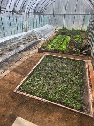 매실21434님의 기타작물 · 영농일지 작성글 사진