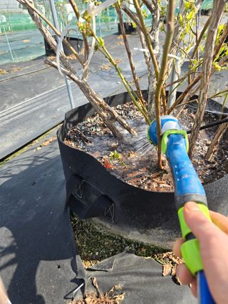 김유숙님의 기타작물 · 영농일지 작성글 사진