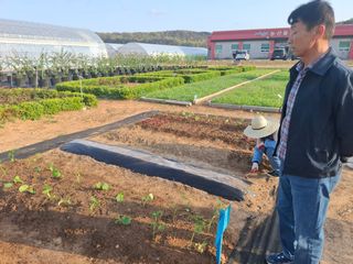 철남 김희곤님의 옥수수 · 영농일지 작성글 사진