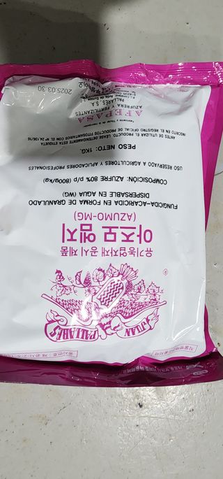 박종권님의 마늘 · 영농일지 작성글 사진