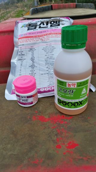 오동추님의 기타작물 · 영농일지 작성글 사진