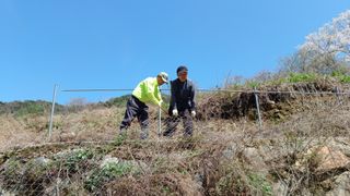이순기님의 두릅 · 영농일지 작성글 사진