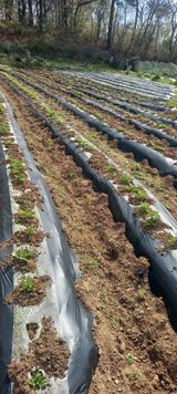 고병길님의 작성글 사진