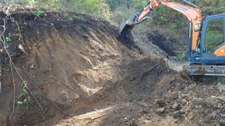 이순기님의 두릅 · 영농일지 작성글 사진