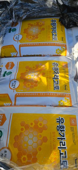 구춘봉님의 마늘 · 영농일지 작성글 사진