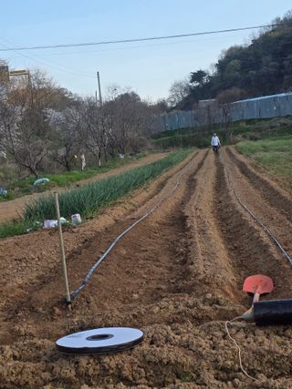 한선희님의 기타작물 · 영농일지 작성글 사진