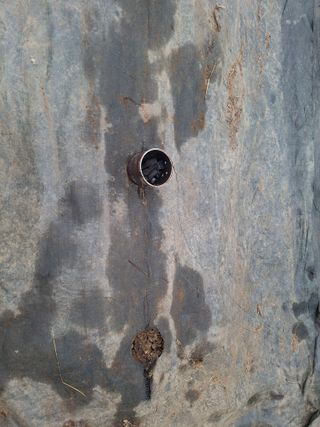 건강한먹거리님의 고추 · 영농일지 작성글 사진