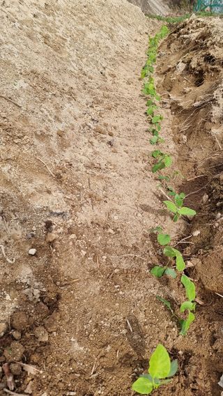 권혁렬님의 작성글 사진