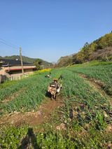 김성환님의 작성글 사진