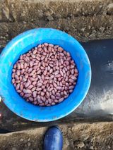 !정의규님의 작성글 사진