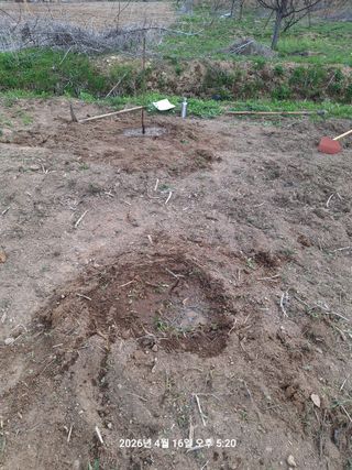 이수홍(이창희)님의 기타작물 · 영농일지 작성글 사진