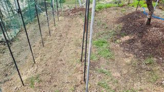 권혁렬님의 상추 · 영농일지 작성글 사진