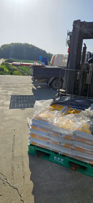 구춘봉님의 마늘 · 영농일지 작성글 사진