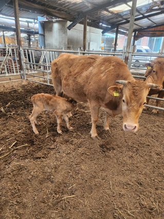 제2의인생출발님의 기타작물 · 영농일지 작성글 사진
