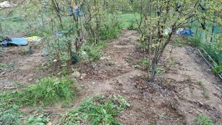 김동명님의 기타작물 · 영농일지 작성글 사진