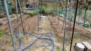 권혁렬님의 작성글 사진