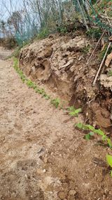 권혁렬님의 작성글 사진