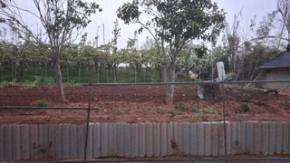 장원팜님의 고추 · 영농일지 작성글 사진