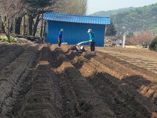 김병효님의 기타작물 · 영농일지 작성글 사진
