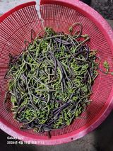 상태메롱님의 작성글 사진