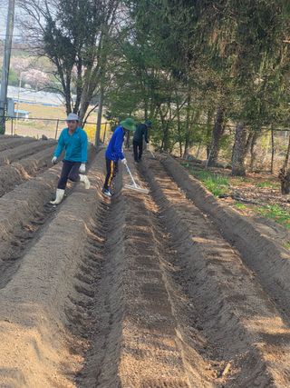 김병효님의 기타작물 · 영농일지 작성글 사진
