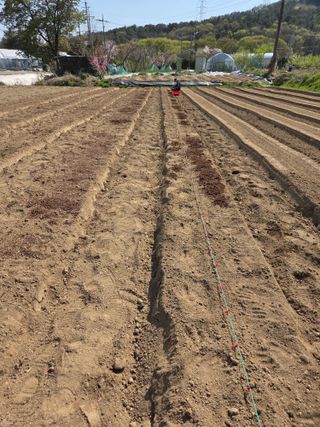 마늘25328님의 기타작물 · 영농일지 작성글 사진