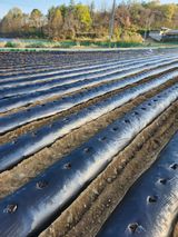 !정의규님의 작성글 사진