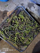 상태메롱님의 작성글 사진