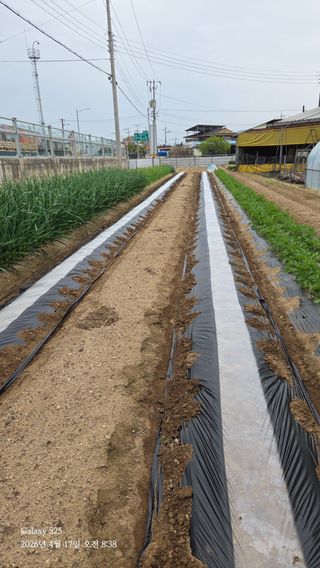 김시내 님의 기타작물 · 영농일지 작성글 사진