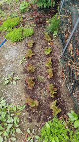 권혁렬님의 작성글 사진