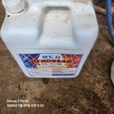 김성훈님의 작성글 사진