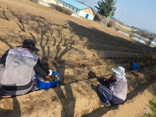 김병효님의 기타작물 · 영농일지 작성글 사진