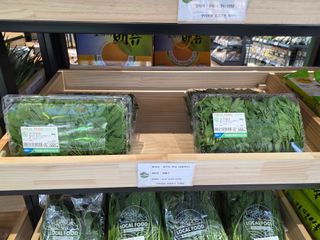 도심농부님의 기타작물 · 영농일지 작성글 사진