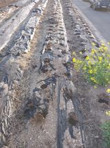 상추20832님의 작성글 사진