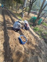 김병효님의 작성글 사진