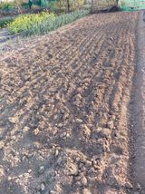 상추20832님의 작성글 사진