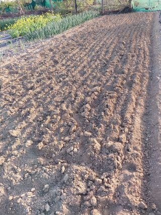 상추20832님의 기타작물 · 영농일지 작성글 사진