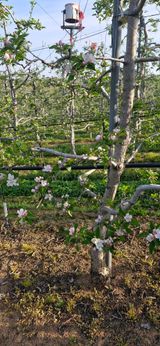 팜모닝 기타작물·영농일지 게시글 이미지